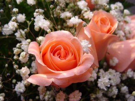 Bouquets offerts