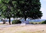 medium_01-auterlitz1.jpg